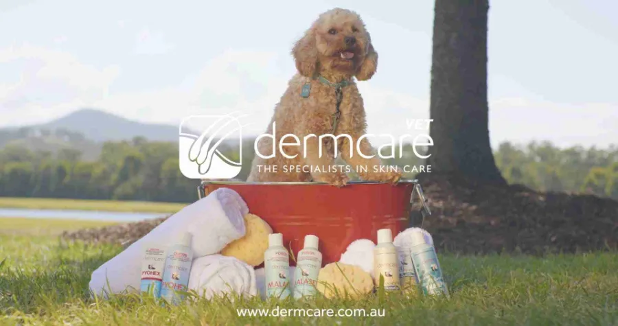 Dermcare anti-counterfeiting educational film