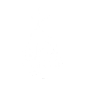 Bam Bam
